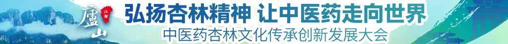 暴肏小嫩B视频中医药杏林文化传承创新发展大会